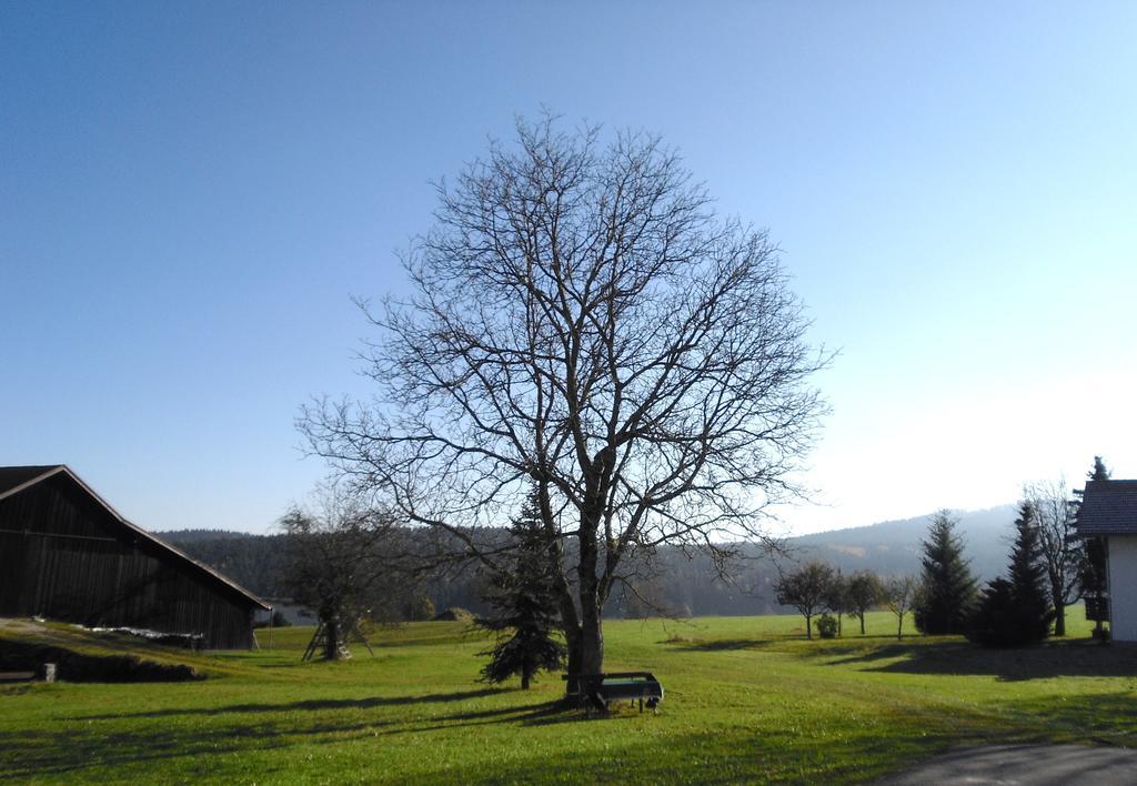 Gasthof-Pension-Kraus Achslach Buitenkant foto