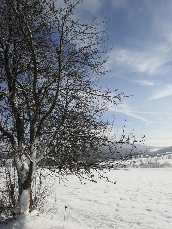 Gasthof-Pension-Kraus Achslach Buitenkant foto